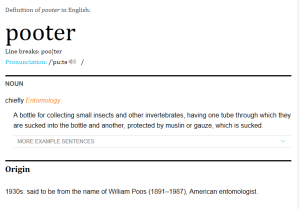 Pooter definition
