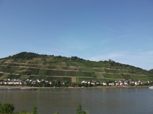 Along the Rhine compressed2