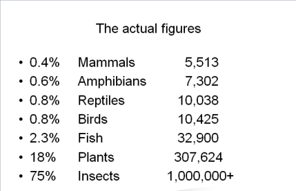 The importance of insects