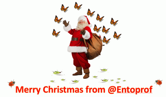 merry-christmas-from-entoprof
